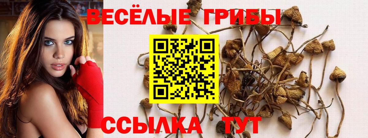 Галлюциногенные грибы Cubensis Иваново