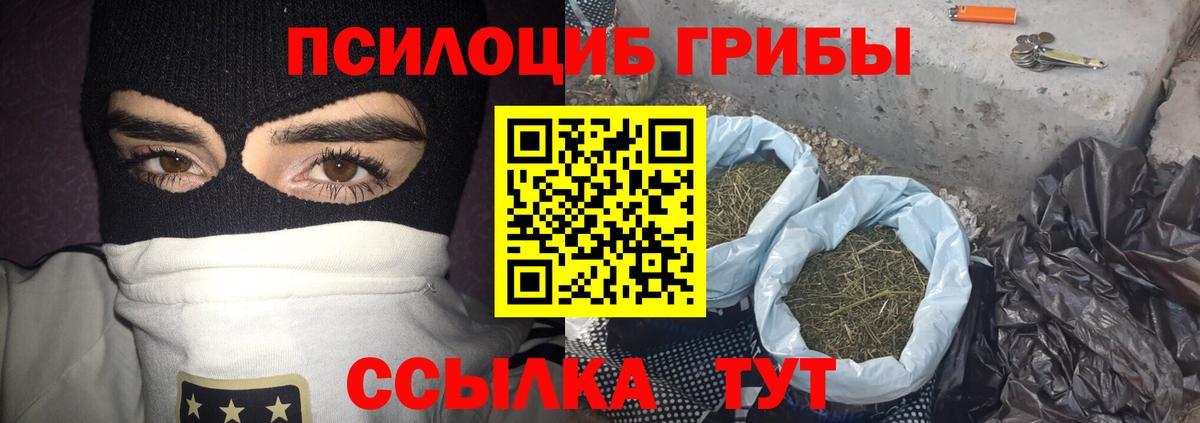 Псилоцибиновые грибы MAGIC MUSHROOMS  Галлюциногенные грибы GOLDEN TEACHER  Иваново  Вход с VPN 